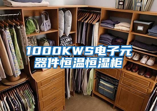 1000KWS電子元器件恒溫恒濕柜