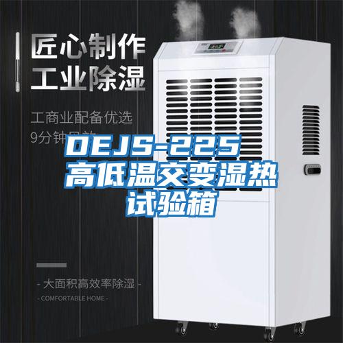 DEJS-225  高低溫交變濕熱試驗箱