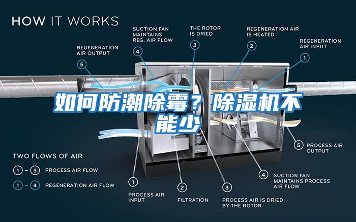 如何防潮除霉？除濕機不能少