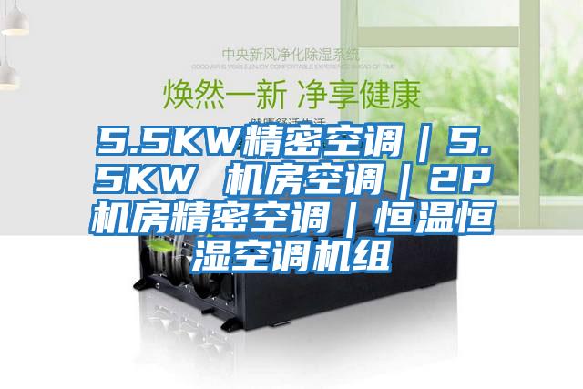 5.5KW精密空調｜5.5KW 機房空調｜2P機房精密空調｜恒溫恒濕空調機組