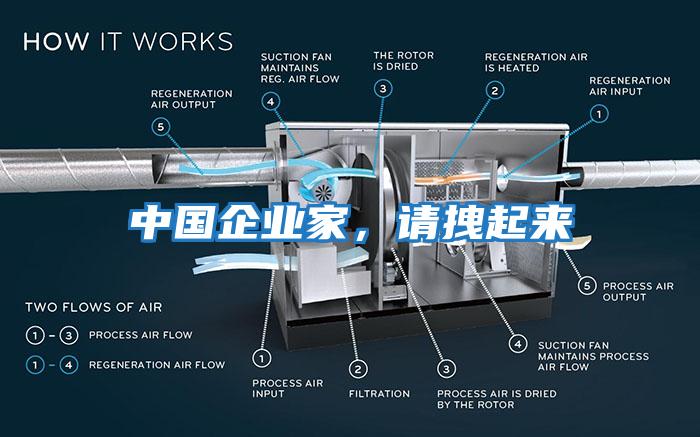 中國(guó)企業(yè)家，請(qǐng)拽起來(lái)