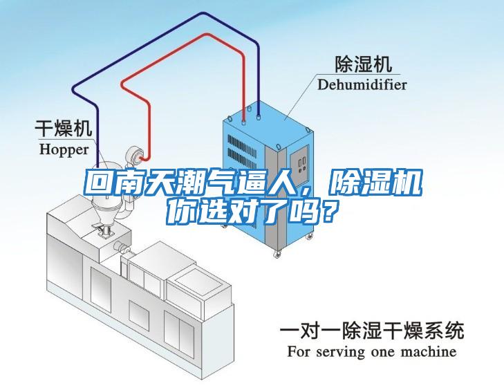 回南天潮氣逼人，除濕機你選對了嗎？