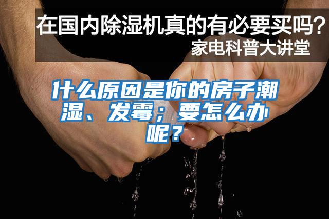 什么原因是你的房子潮濕、發(fā)霉；要怎么辦呢？