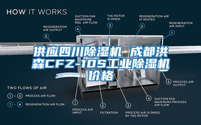 供應(yīng)四川除濕機(jī) 成都洪森CFZ-10S工業(yè)除濕機(jī)價(jià)格