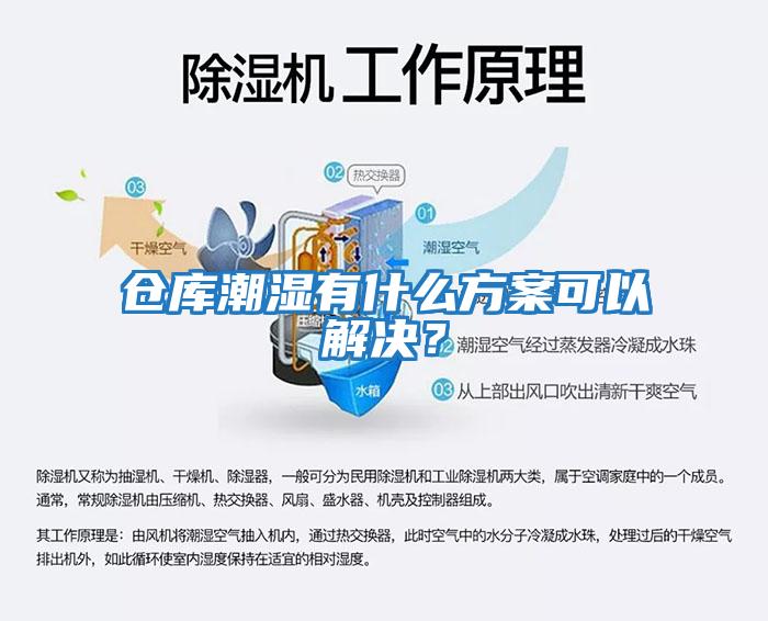 倉庫潮濕有什么方案可以解決？