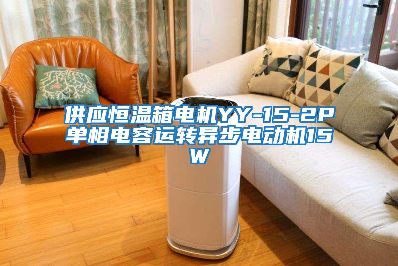 供應(yīng)恒溫箱電機(jī)YY-15-2P單相電容運(yùn)轉(zhuǎn)異步電動(dòng)機(jī)15W