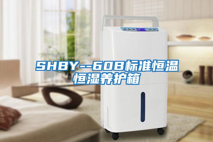 SHBY--60B標準恒溫恒濕養(yǎng)護箱