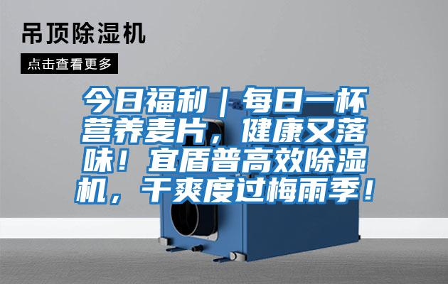 今日福利｜每日一杯營養(yǎng)麥片，健康又落味！宜盾普高效除濕機，干爽度過梅雨季！