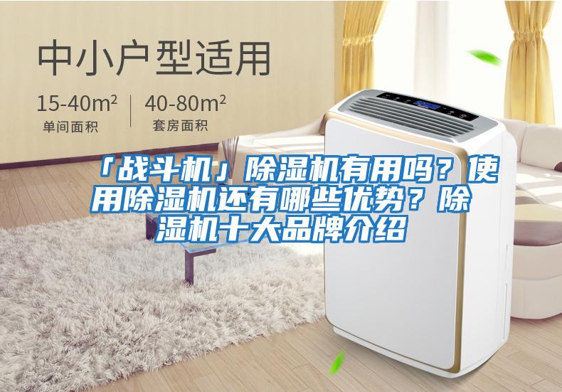 「戰(zhàn)斗機」除濕機有用嗎？使用除濕機還有哪些優(yōu)勢？除濕機十大品牌介紹