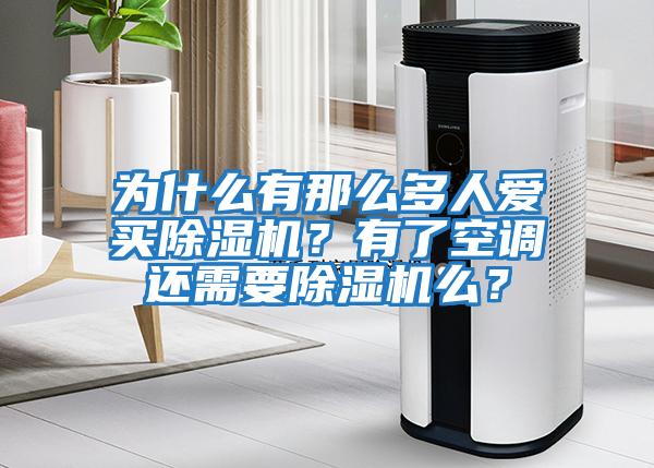 為什么有那么多人愛買除濕機？有了空調還需要除濕機么？