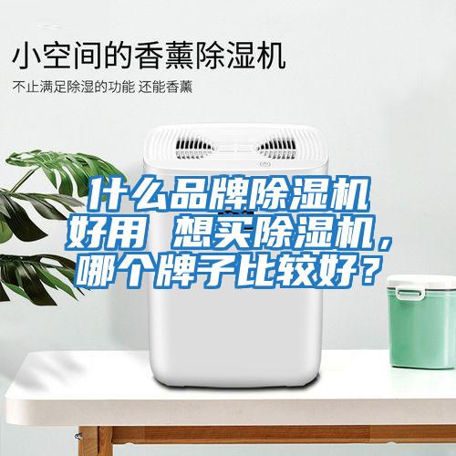 什么品牌除濕機好用 想買除濕機，哪個牌子比較好？