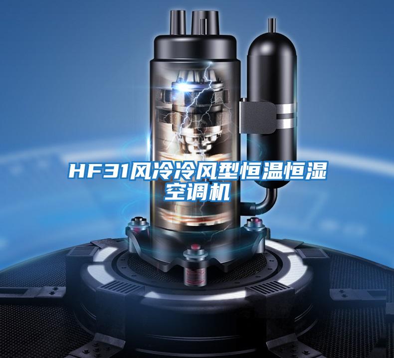 HF31風(fēng)冷冷風(fēng)型恒溫恒濕空調(diào)機(jī)