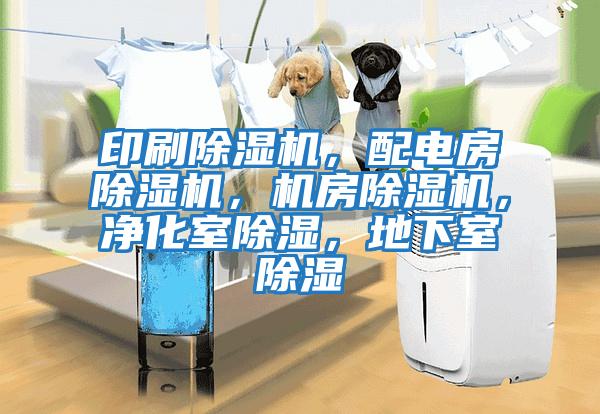 印刷除濕機，配電房除濕機，機房除濕機，凈化室除濕，地下室除濕