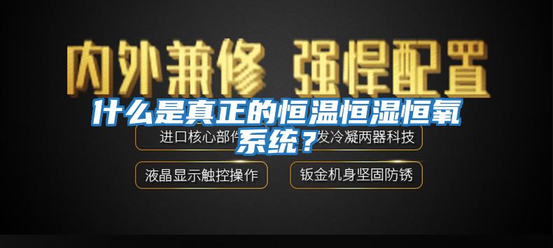 什么是真正的恒溫恒濕恒氧系統(tǒng)？