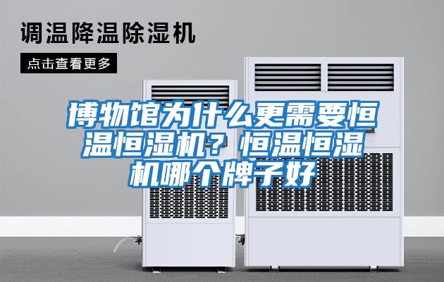 博物館為什么更需要恒溫恒濕機(jī)？恒溫恒濕機(jī)哪個牌子好