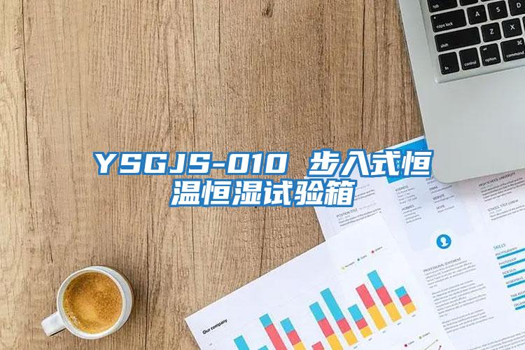 YSGJS-010 步入式恒溫恒濕試驗箱