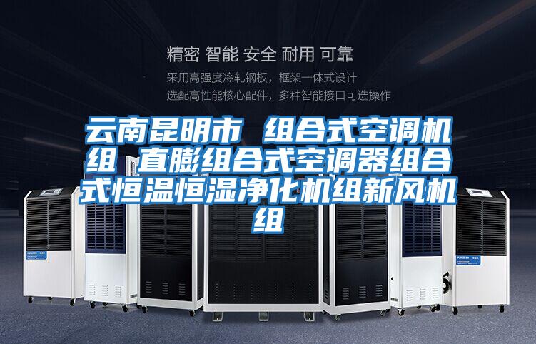 云南昆明市 組合式空調(diào)機組 直膨組合式空調(diào)器組合式恒溫恒濕凈化機組新風(fēng)機組