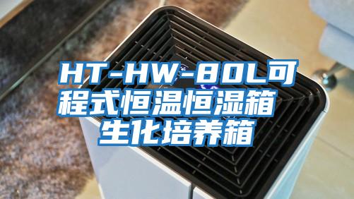 HT-HW-80L可程式恒溫恒濕箱 生化培養(yǎng)箱