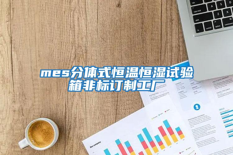 mes分體式恒溫恒濕試驗(yàn)箱非標(biāo)訂制工廠