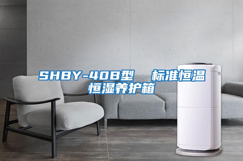 SHBY-40B型  標準恒溫恒濕養(yǎng)護箱