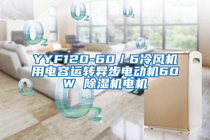 YYF120-60／6冷風(fēng)機(jī)用電容運(yùn)轉(zhuǎn)異步電動機(jī)60W 除濕機(jī)電機(jī)