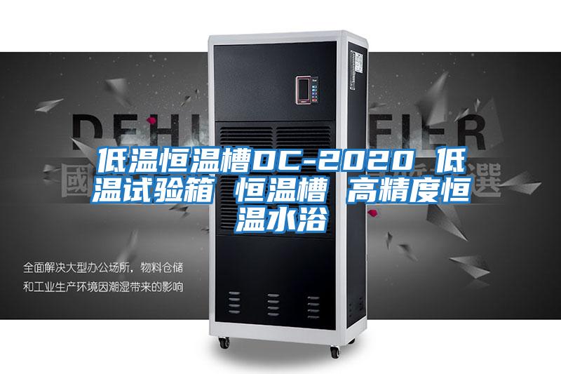 低溫恒溫槽DC-2020 低溫試驗(yàn)箱 恒溫槽 高精度恒溫水浴