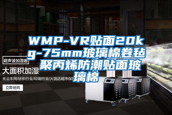 WMP-VR貼面20kg-75mm玻璃棉卷氈 聚丙烯防潮貼面玻璃棉