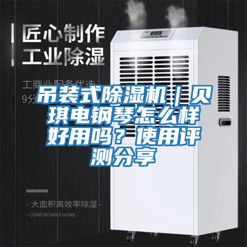 吊裝式除濕機(jī)｜貝琪電鋼琴怎么樣好用嗎？使用評(píng)測分享