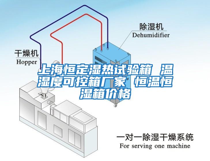 上海恒定濕熱試驗箱 溫濕度可控箱廠家 恒溫恒濕箱價格