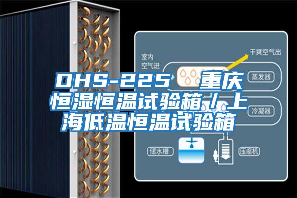 DHS-225  重慶恒濕恒溫試驗箱／上海低溫恒溫試驗箱