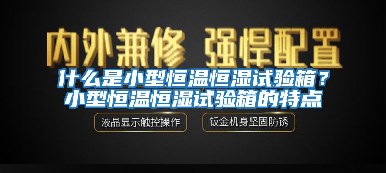 什么是小型恒溫恒濕試驗(yàn)箱？小型恒溫恒濕試驗(yàn)箱的特點(diǎn)