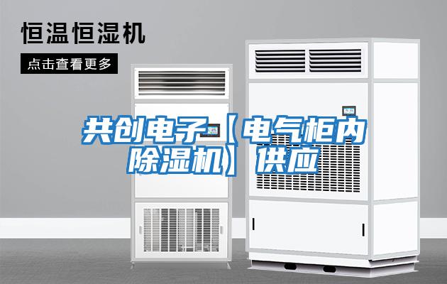 共創(chuàng)電子【電氣柜內(nèi)除濕機】供應