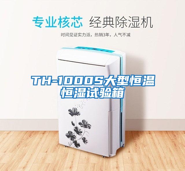 TH-1000S大型恒溫恒濕試驗(yàn)箱