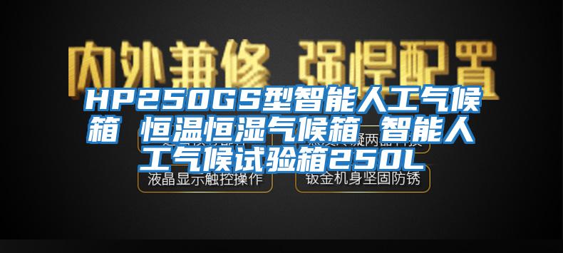 HP250GS型智能人工氣候箱 恒溫恒濕氣候箱 智能人工氣候試驗箱250L