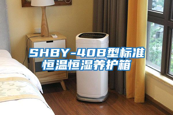 SHBY-40B型標準恒溫恒濕養(yǎng)護箱