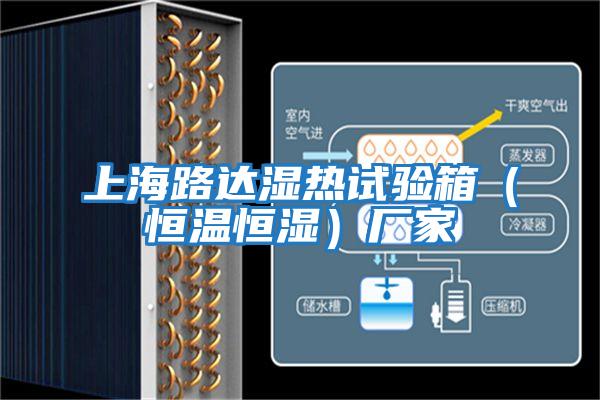 上海路達(dá)濕熱試驗(yàn)箱（恒溫恒濕）廠家