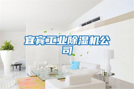 宜賓工業(yè)除濕機公司