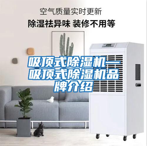 吸頂式除濕機—吸頂式除濕機品牌介紹