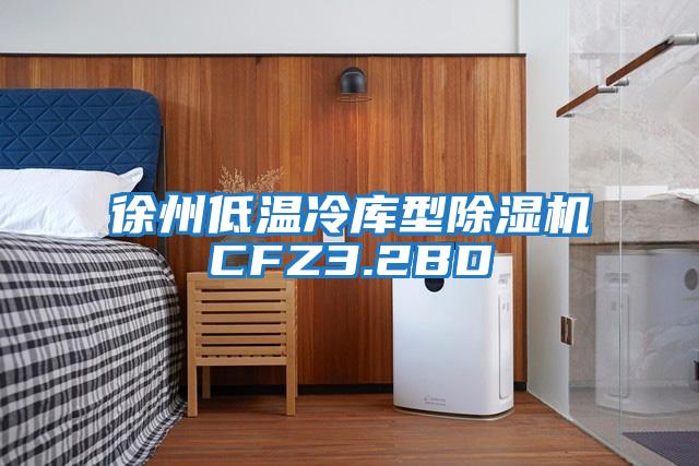 徐州低溫冷庫型除濕機CFZ3.2BD