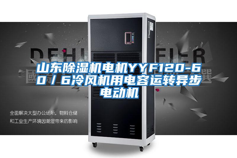 山東除濕機電機YYF120-60／6冷風(fēng)機用電容運轉(zhuǎn)異步電動機