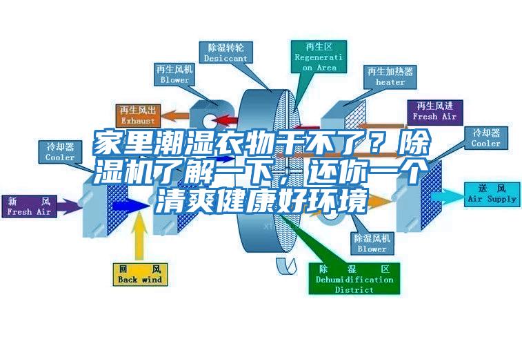 家里潮濕衣物干不了？除濕機(jī)了解一下，還你一個清爽健康好環(huán)境