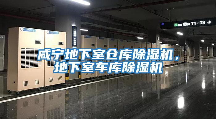 咸寧地下室倉庫除濕機，地下室車庫除濕機