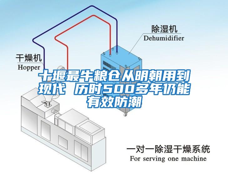 十堰最牛糧倉從明朝用到現代 歷時500多年仍能有效防潮