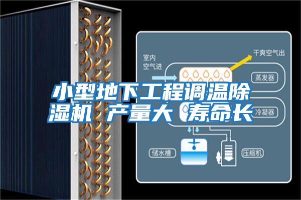 小型地下工程調(diào)溫除濕機(jī) 產(chǎn)量大 壽命長