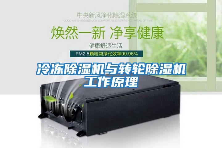 冷凍除濕機與轉(zhuǎn)輪除濕機工作原理