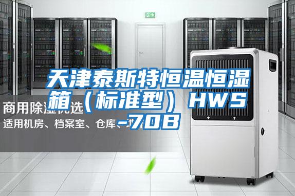 天津泰斯特恒溫恒濕箱（標準型）HWS-70B