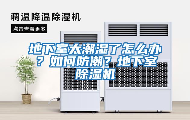 地下室太潮濕了怎么辦？如何防潮？地下室除濕機