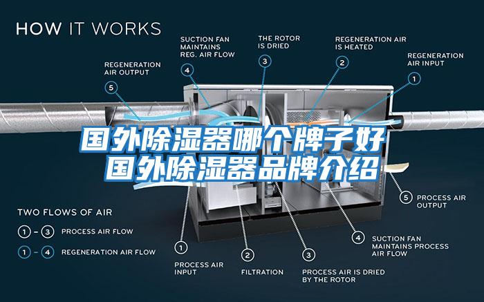 國外除濕器哪個牌子好 國外除濕器品牌介紹