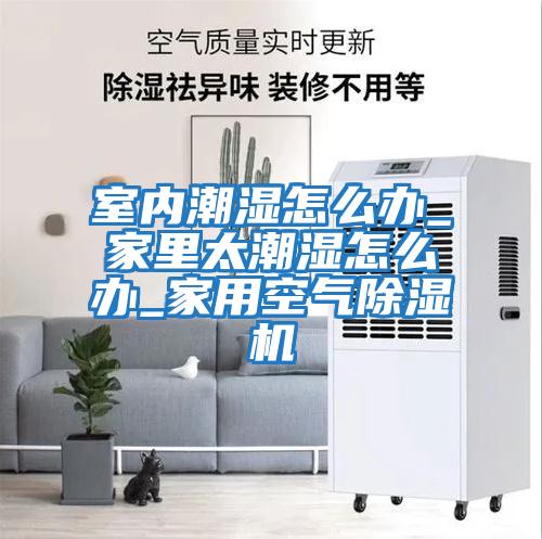 室內潮濕怎么辦_家里太潮濕怎么辦_家用空氣除濕機