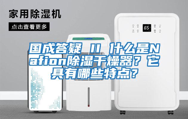 國成答疑 II 什么是Nafion除濕干燥器？它具有哪些特點？